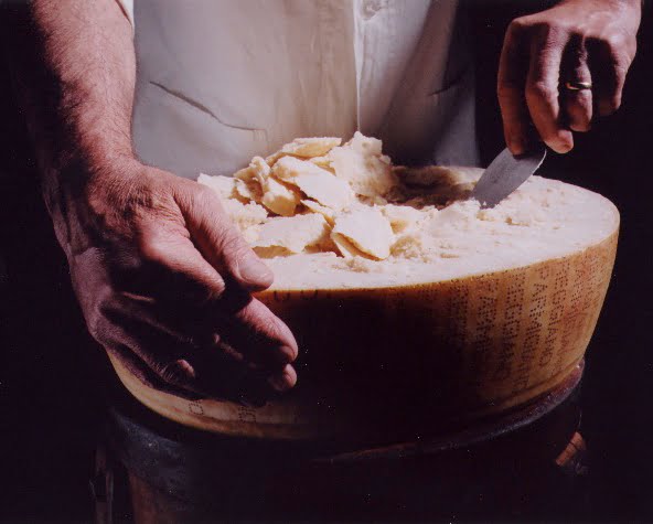 Copeaux de Parmesan dans une meule