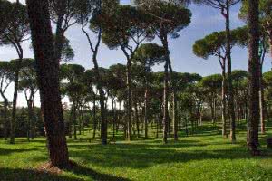 Doria_Pamphili_6376
