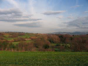 parcodellacaffarella