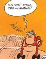 Obélix : "Ils sont fous ces romains !"