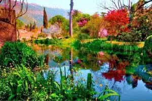 Jardin de Ninfa